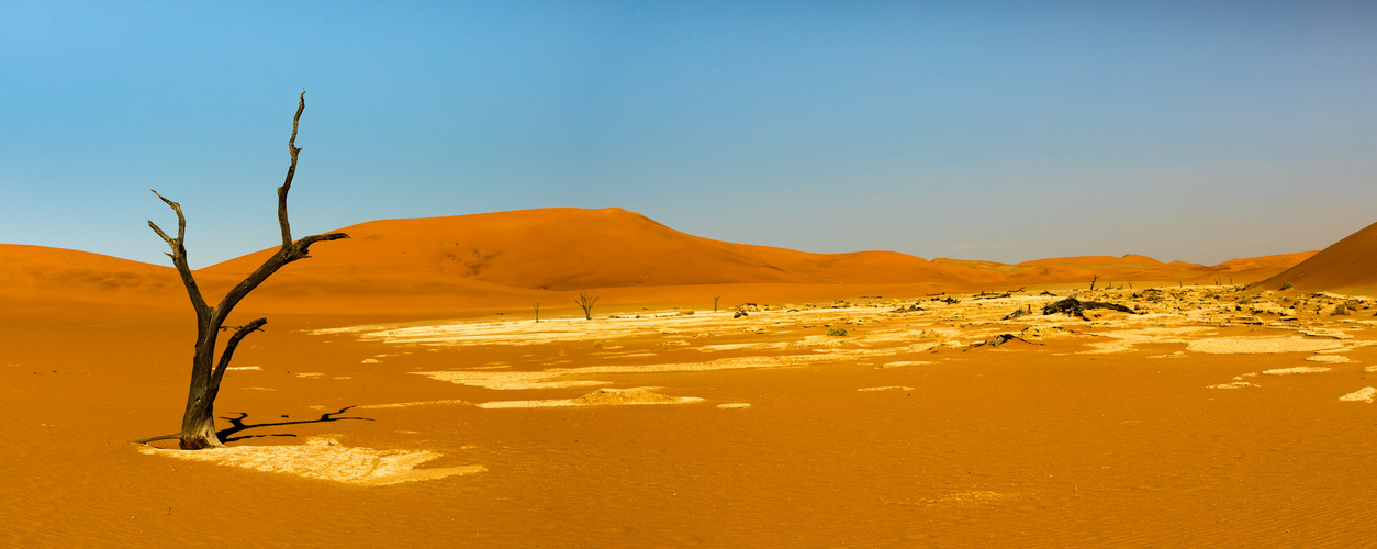 Deadvlei in Namibia