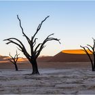 Deadvlei in Namibia