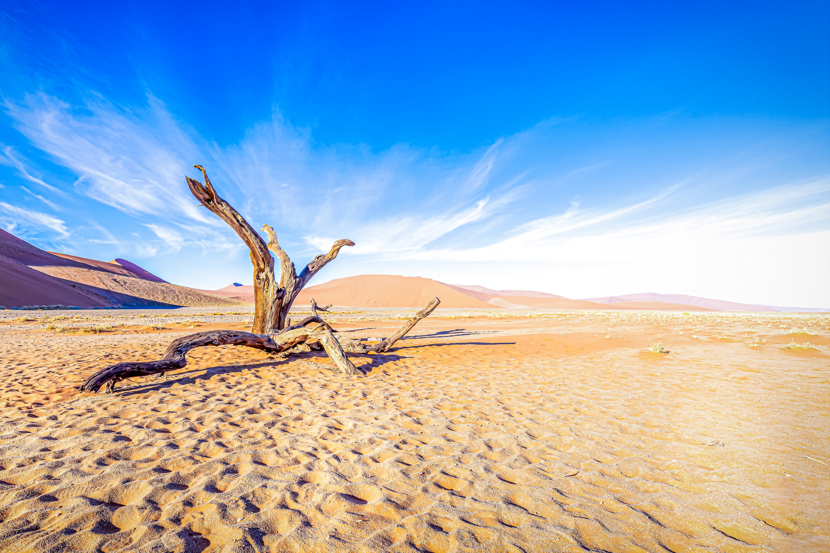 Deadvlei in Namibia