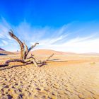 Deadvlei in Namibia