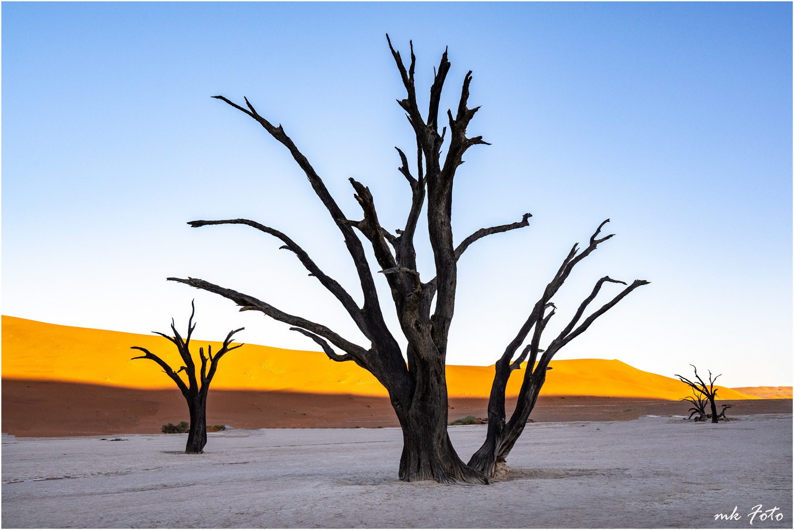 Deadvlei in Namibia II