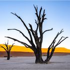 Deadvlei in Namibia II