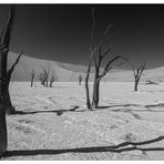 Deadvlei in sw