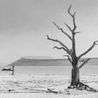 Deadvlei mal anders