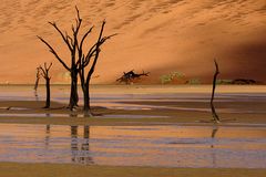 Deadvlei mit Wasser