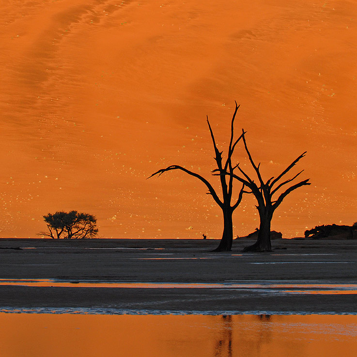 Deadvlei mit Wasser