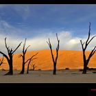 Deadvlei mit Zauberhimmel