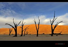 Deadvlei mit Zauberhimmel