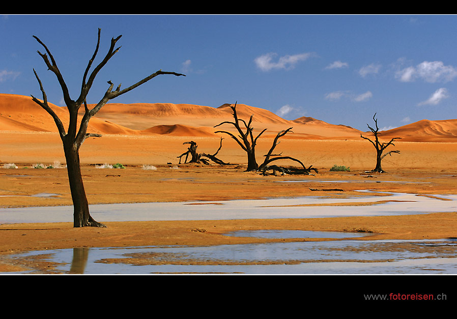 Deadvlei - nach dem Wasser