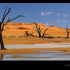 Deadvlei - nach dem Wasser