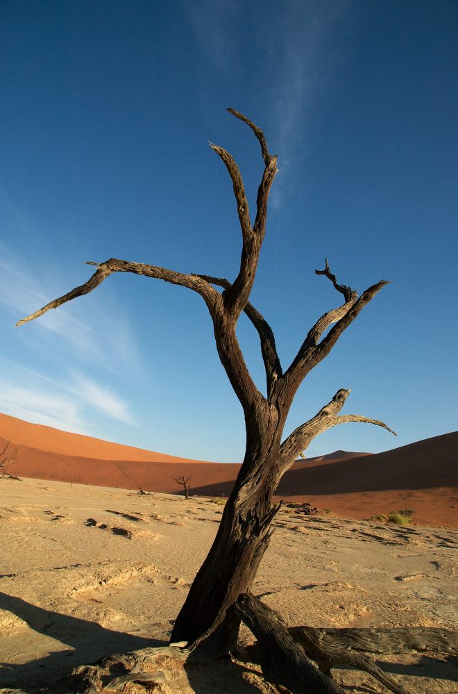 Deadvlei Namib - Desert