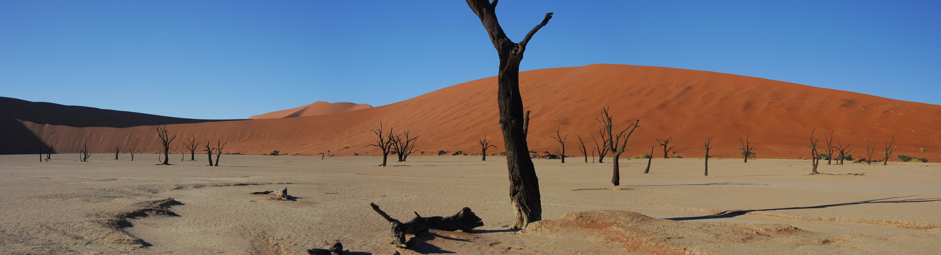 DeadVlei - Namib, Sesriem