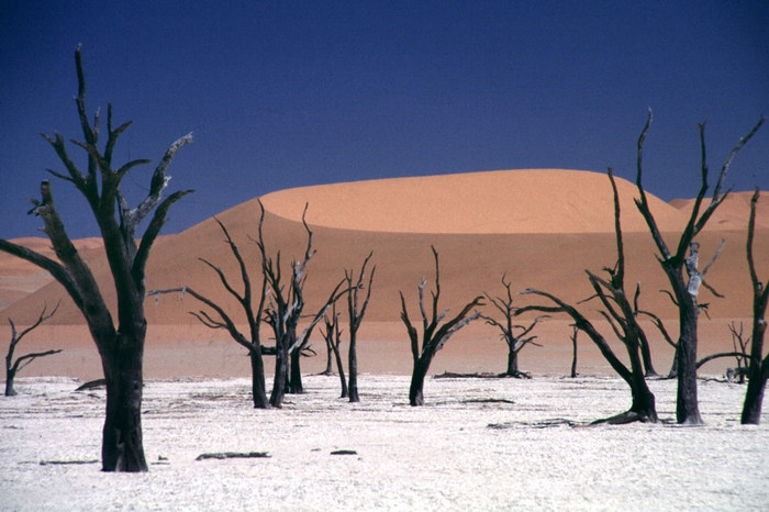 Deadvlei - Namib Wüste