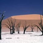 Deadvlei - Namib Wüste