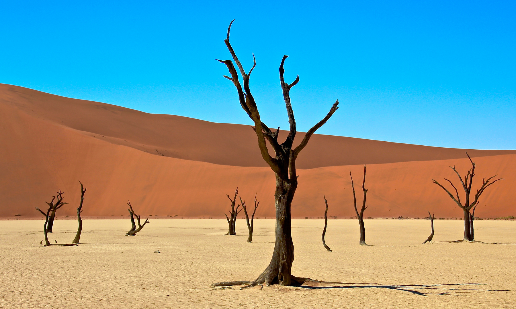 Deadvlei, Namibia