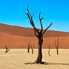 Deadvlei, Namibia