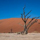 Deadvlei, Namibia