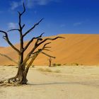 Deadvlei - Namibia