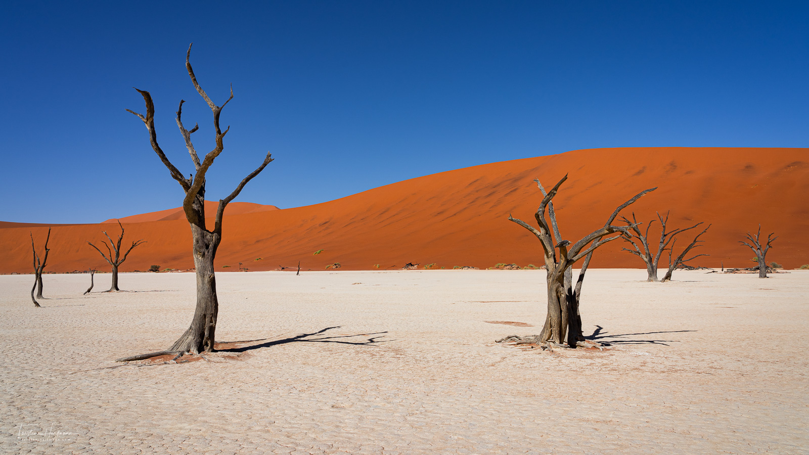 Deadvlei (Namibia)