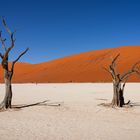 Deadvlei (Namibia)