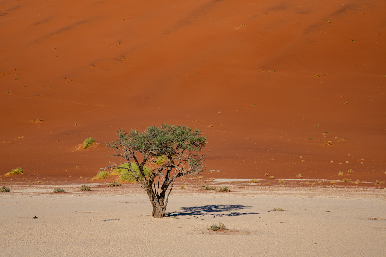 Deadvlei, Namibia