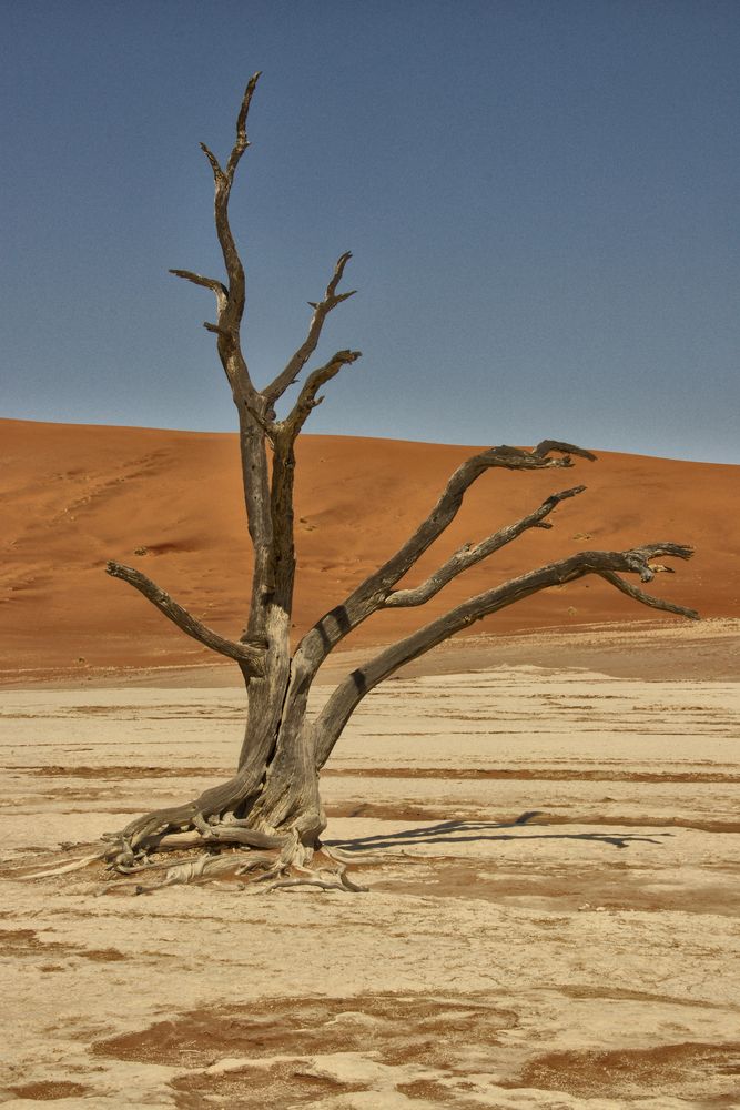 Deadvlei Namibia