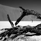 Deadvlei-Namibia