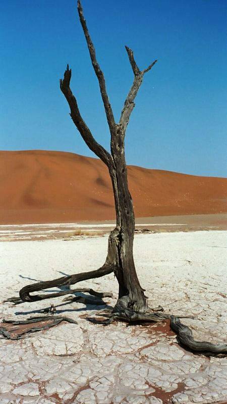 Deadvlei (Namibia)