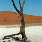 Deadvlei (Namibia)