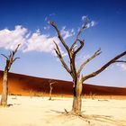 Deadvlei, Namibia