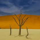 Deadvlei, Namibia