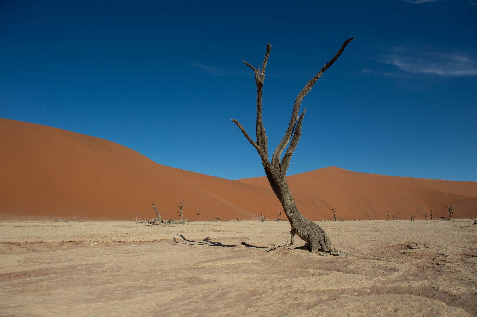 Deadvlei (Namibia)