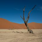 Deadvlei (Namibia)