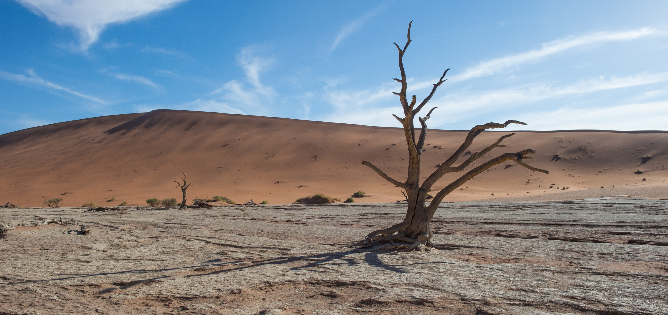 Deadvlei (Namibia)