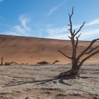 Deadvlei (Namibia)