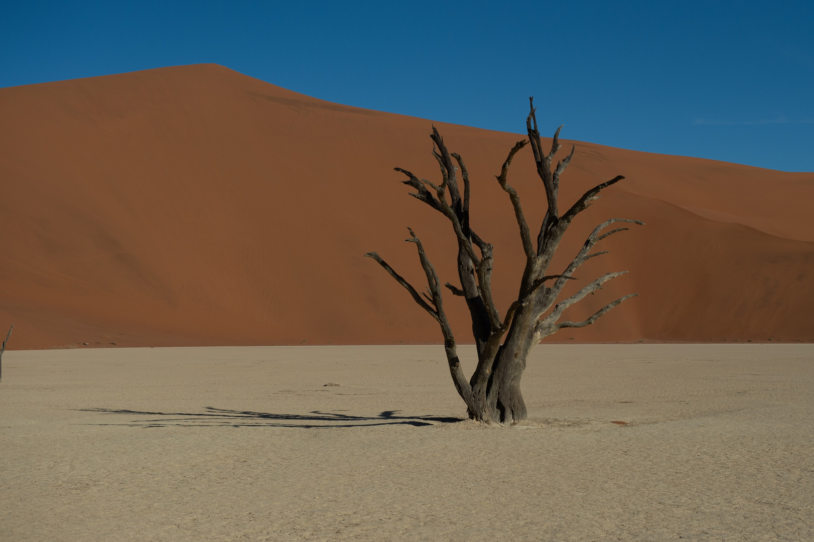 Deadvlei (Namibia) 