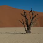 Deadvlei (Namibia) 