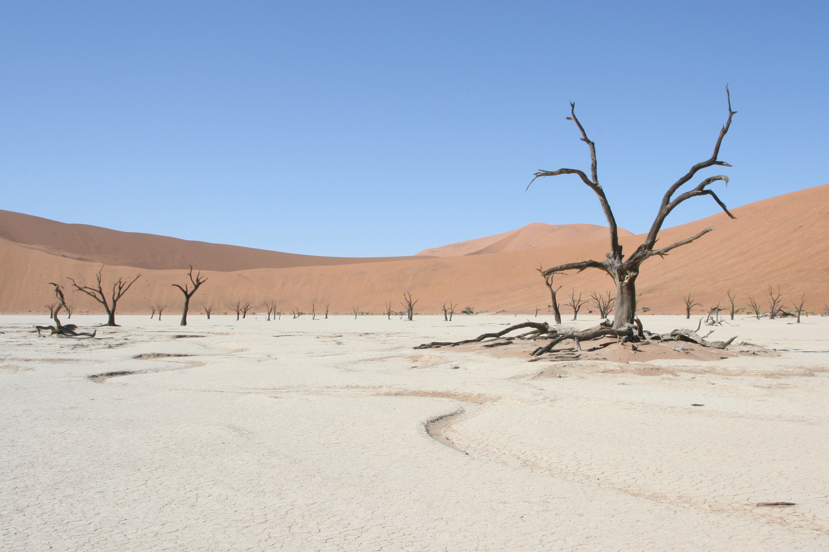 Deadvlei, Namibien