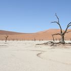 Deadvlei, Namibien