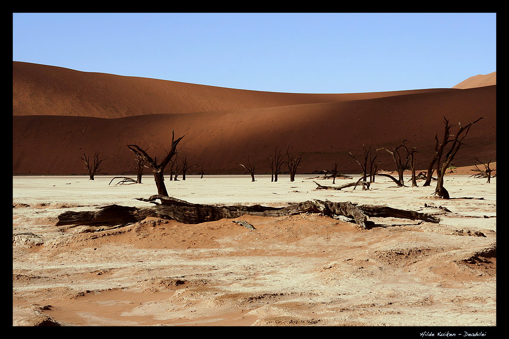 Deadvlei neu