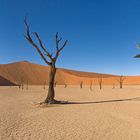 Deadvlei oder gießen hilft