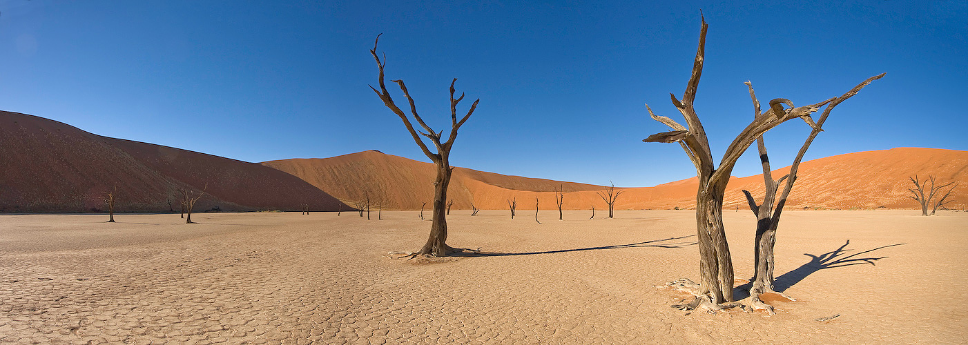 Deadvlei oder gießen hilft