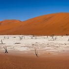 Deadvlei Panorama