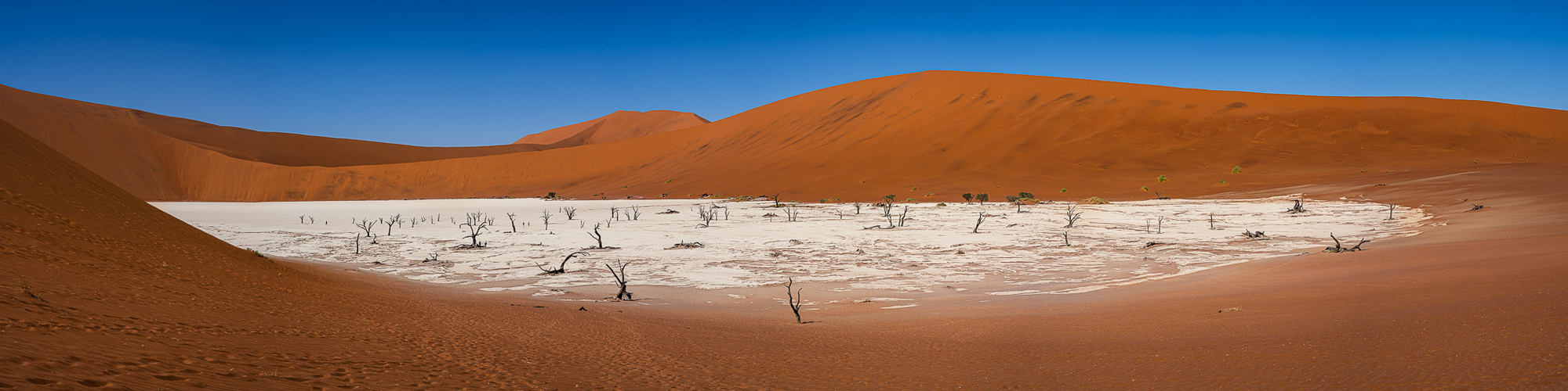 Deadvlei Panorama