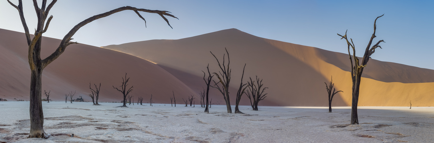 Deadvlei Panorama