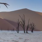 Deadvlei Panorama