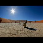 Deadvlei Panorama