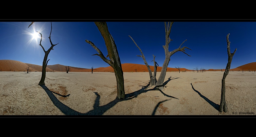 Deadvlei Panorama II