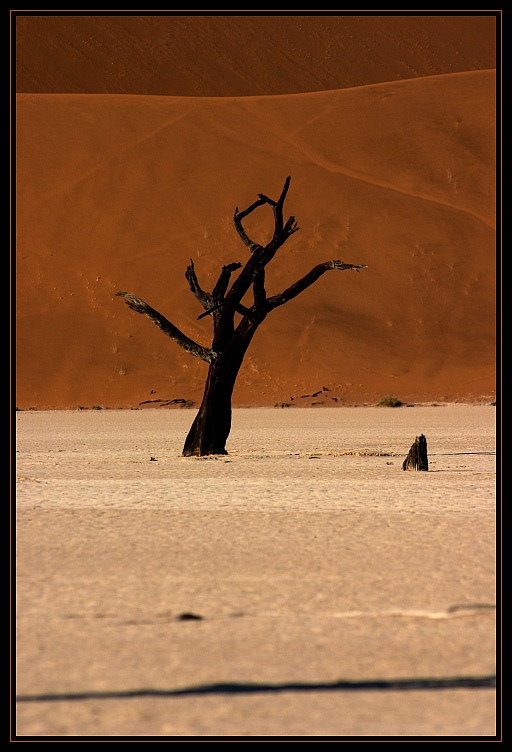 Deadvlei Part V