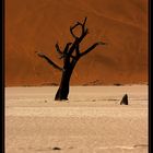 Deadvlei Part V